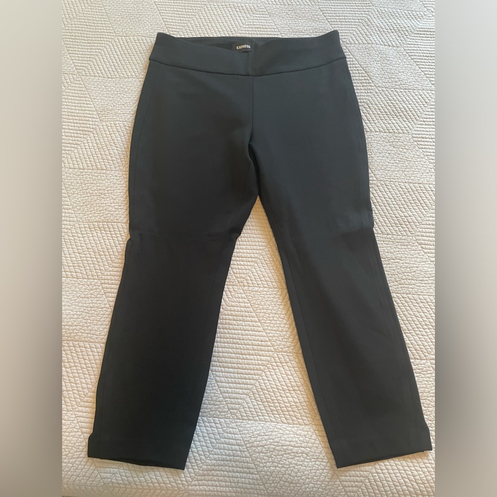 Express Columnist Dress Pant